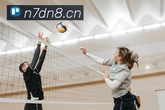 letou最新官网发展历程